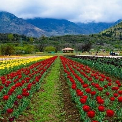 Near by Tourist Places